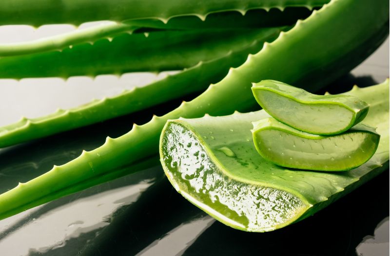 Sử dụng nha đam - 8/10 điểm