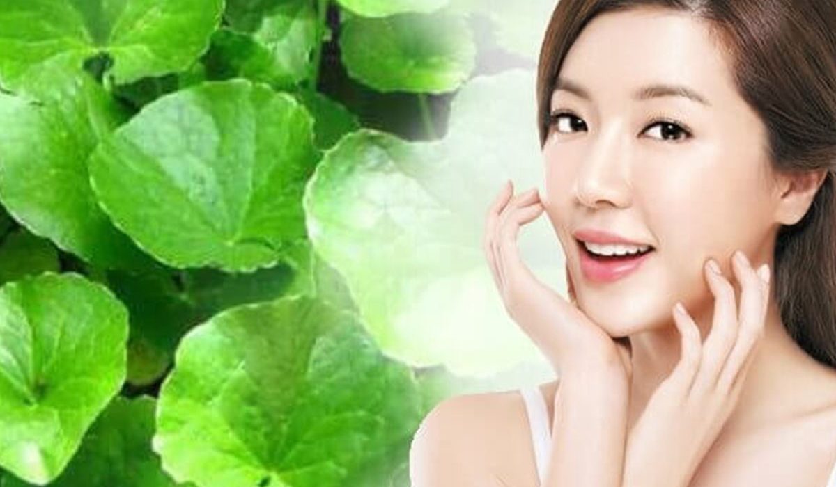 5 cách trị mụn bằng rau má cực kì đơn giản