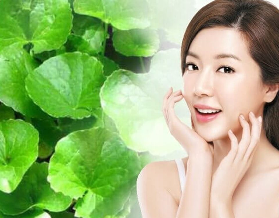 5 cách trị mụn bằng rau má cực kì đơn giản