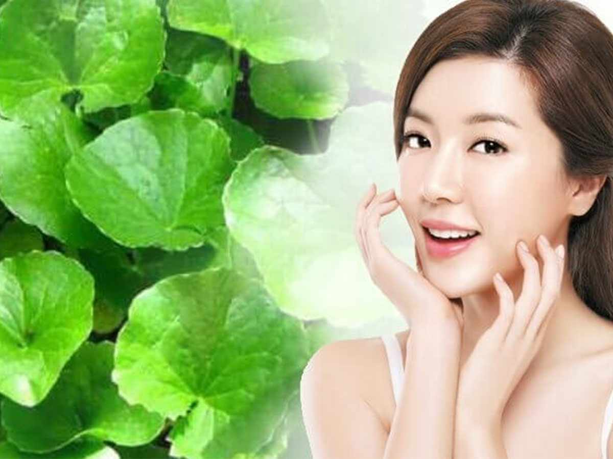 5 cách trị mụn bằng rau má cực kì đơn giản