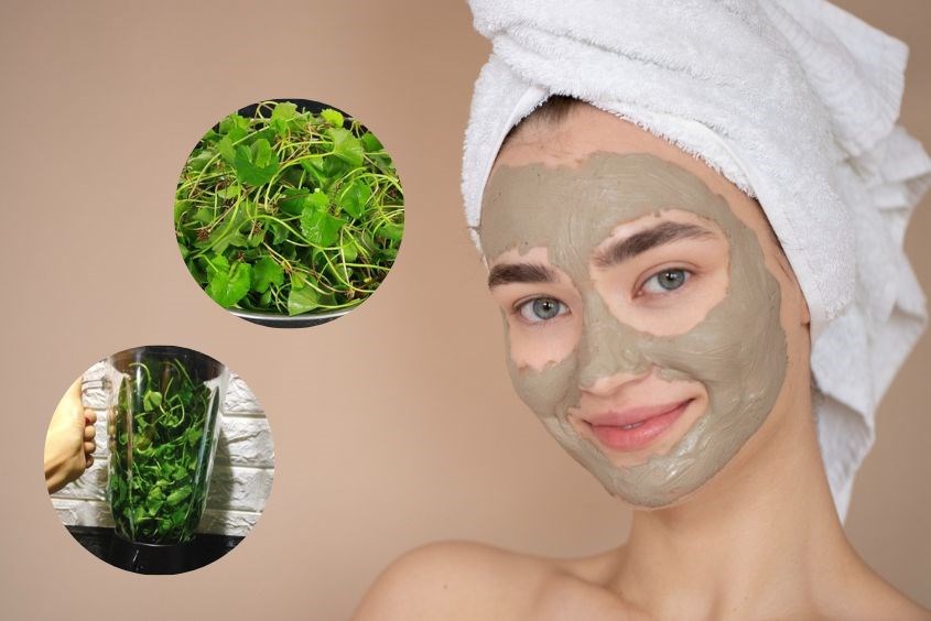 Mặt nạ sữa chua rau má