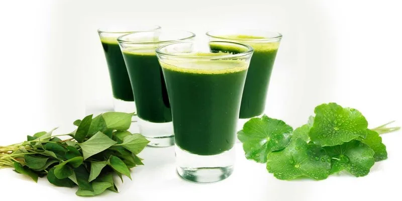 Uống nước rau má